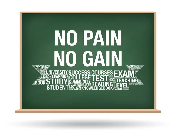 No pain No gain on green chalkboard isolated background — Stock Vector