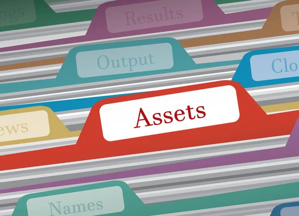 Dossier des actifs dans les dossiers financiers personnels illustration vectorielle — Image vectorielle