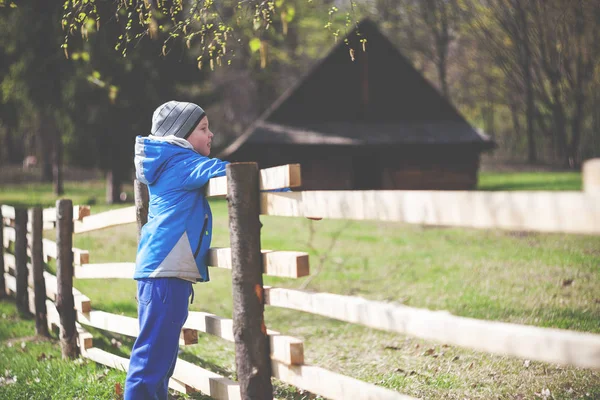 Malý chlapec na plotu farmy během brzy na jaře — Stock fotografie