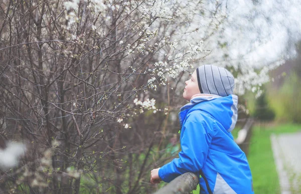 Jongetje ruikende bloemen in de lentetuin — Stockfoto