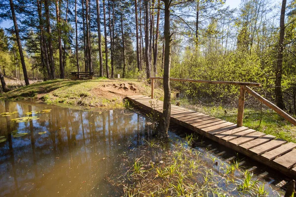 Small wooden bridge in spring forest over lake — Stock Photo, Image
