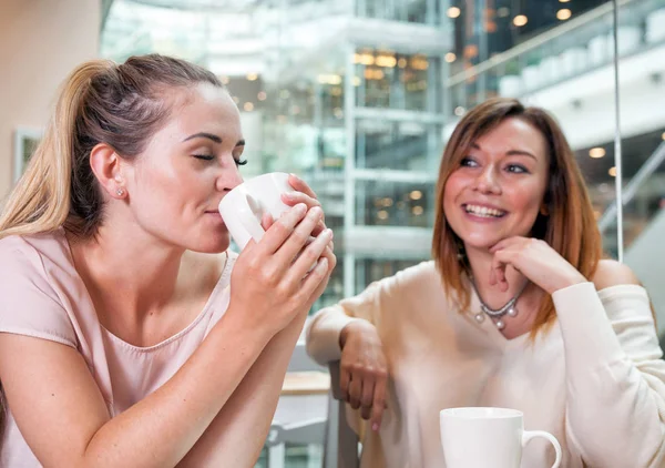 Две подруги девушки разговаривают и смеются во время встречи в кафе в торговом центре — стоковое фото