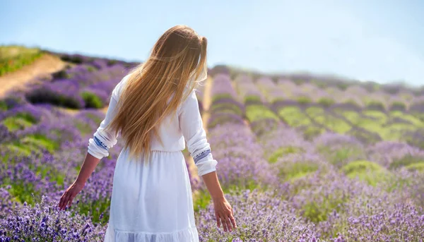 Caminante chica en vestido blanco en el campo de lavanda, concepto de libertad —  Fotos de Stock