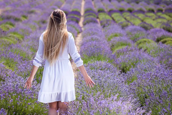 Caminante chica en vestido blanco en el campo de lavanda, concepto de libertad —  Fotos de Stock