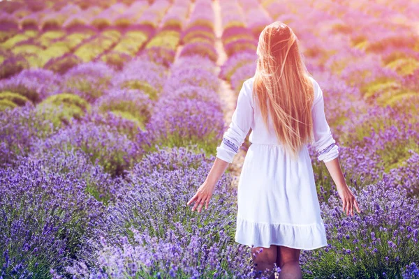 Ходячая девушка в белом платье на лавандовом поле, концепция свободы — стоковое фото