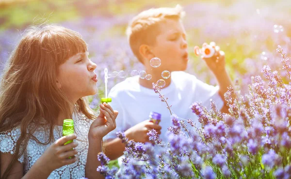 Två barn har roligt att blåsa såpbubblor i lavendelfält på solig dag — Stockfoto