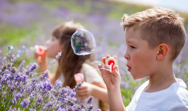Zwei Kinder haben Spaß beim Blasen von Seifenblasen im Lavendelfeld an einem sonnigen Tag — Stockfoto