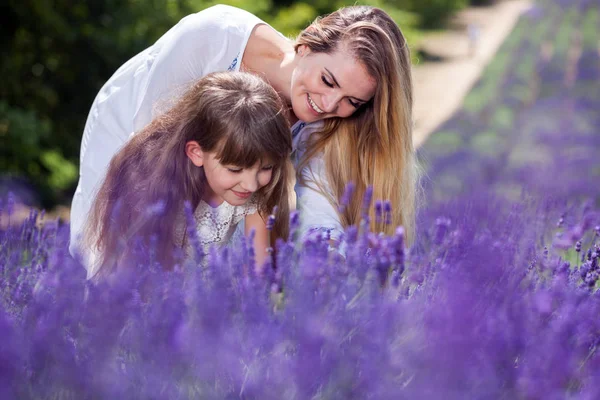 Семейный портрет в лавандовом поле, мать и дочь веселятся — стоковое фото