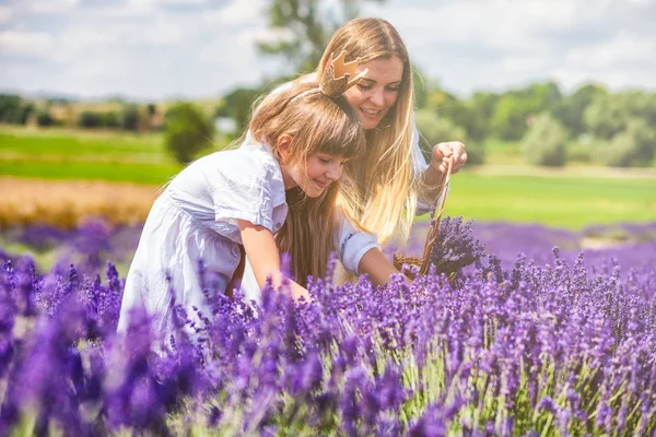 Девочка в короне с мамой на лавандовом поле в летний день, концепция счастливой семьи — стоковое фото