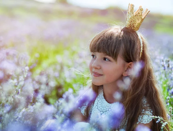 Принцесса девочка в короне на лавандовом поле в летний день, счастливая детская концепция — стоковое фото