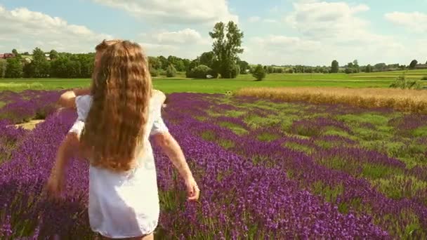 Brother Sister Playing Lavender Field — Stock Video