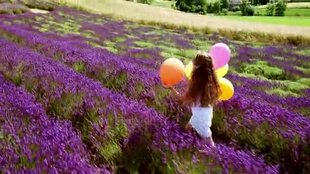 Meisje Witte Jurk Met Kleurrijke Ballonnen Met Lavendel Veld — Stockvideo