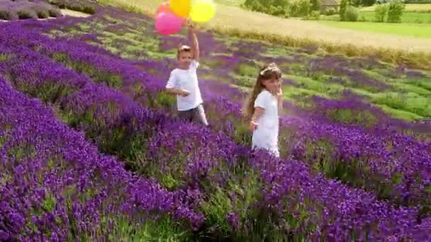 Boy and girl with colorful balloons running in lavender field