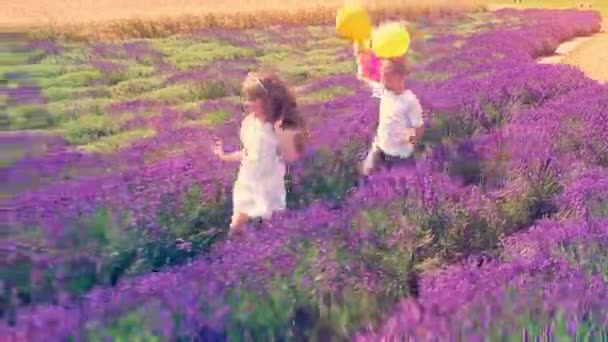 Niño Niña Con Globos Colores Corriendo Campo Lavanda — Vídeos de Stock