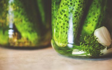 Baharat ve otlar bir kavanoza salatalık turşusu yakın çekim