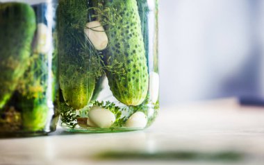 Baharat ve otlar bir kavanoza salatalık turşusu yakın çekim