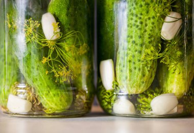 Baharat ve otlar bir kavanoza salatalık turşusu yakın çekim