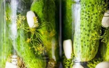 Baharat ve otlar bir kavanoza salatalık turşusu yakın çekim