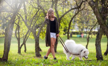 Genç kız yürüyüş samoyed köpek parkı