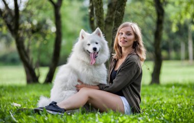 Samoyed köpek parkta birlikte oynayan onun sahibi ile