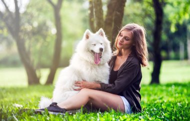 Samoyed köpek parkta birlikte oynayan onun sahibi ile