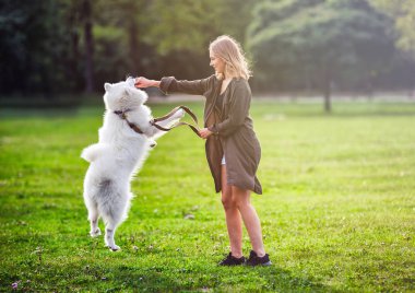 Güzel kız yürüyüş sırasında açık Samoyed köpekle oynamayı