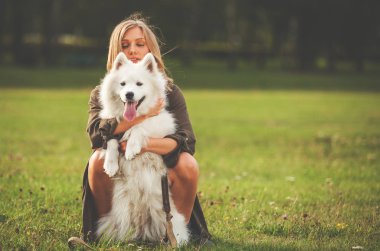 Güzel kız köpeğini parkta, samoyed ile oynarken
