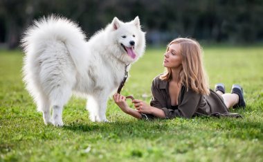 Güzel kız ile köpek parkta çim üzerinde oynama