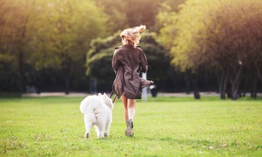 Oynama ve parkta samoyed köpek ile çalışan güzel kız