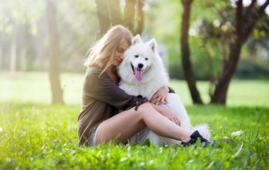 Güzel kız köpeğini parkta samoyed sarılma