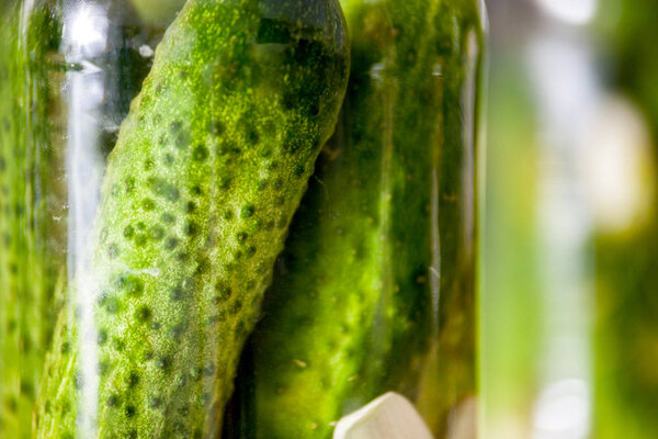 Pickled cucumbers in a jar with spices and herbs close up