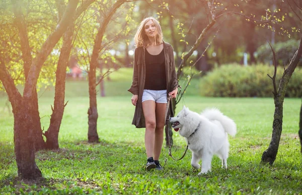 Jong meisje lopen Samojeed hond in het park — Stockfoto