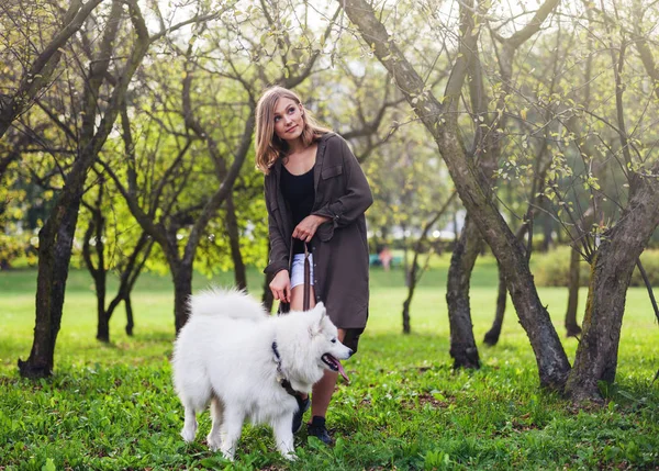 Joven chica paseando samoyed perro en el parque —  Fotos de Stock