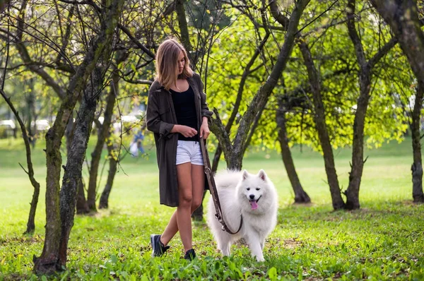 Jong meisje lopen Samojeed hond in het park — Stockfoto