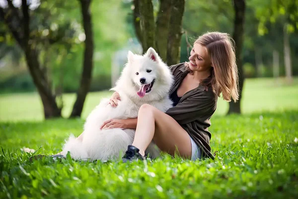 Samoyed köpek parkta birlikte oynayan onun sahibi ile — Stok fotoğraf