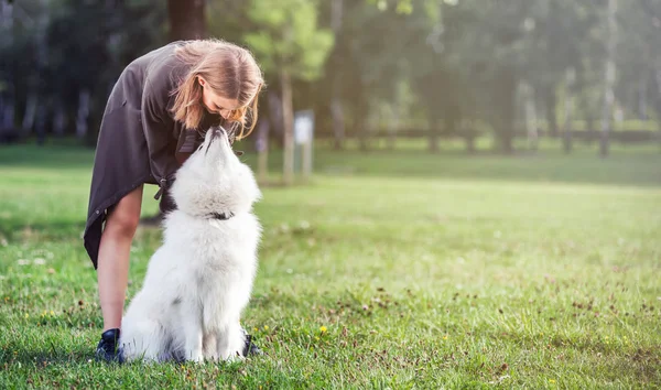 Pretty genç kız ile onun samoyed köpek parkı