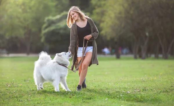 Oynama ve parkta samoyed köpek ile çalışan güzel kız
