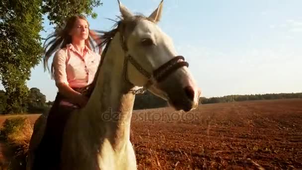 Ung Kvinna Rider Hästen Land Fält Vid Solnedgången — Stockvideo