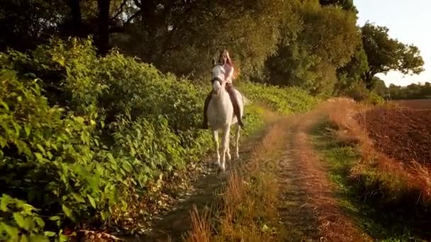 Ung Kvinna Rider Hästen Land Fält Vid Solnedgången — Stockvideo