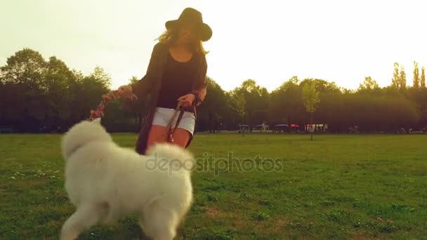 Ung Kvinna Leker Med Samojedvalpar Hund Parken Vid Solnedgången — Stockvideo