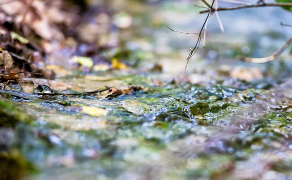 Küçük nehir makro su doğada yakın çekim — Stok fotoğraf