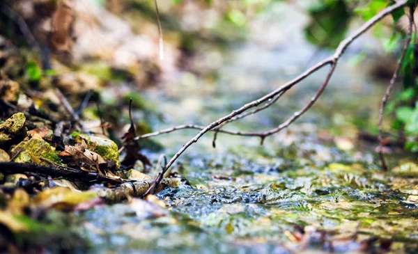 Fechar-se de água macro de rio pequena na natureza — Fotografia de Stock