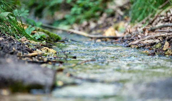 Fechar-se de água macro de rio pequena na natureza — Fotografia de Stock