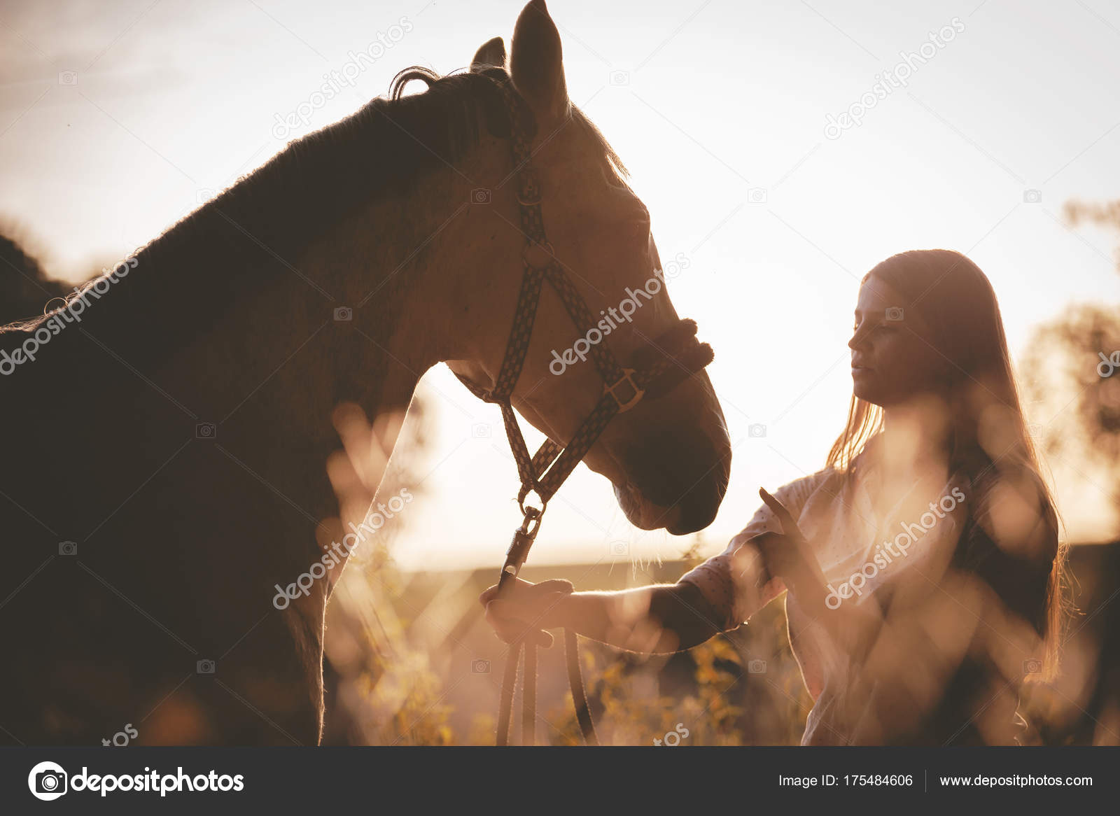 Femme Avec Son Cheval Au Coucher Du Soleil Automne Scène