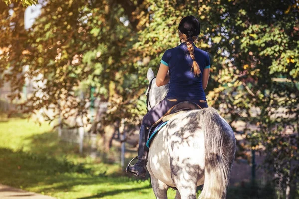 Cavaleiro mulher equitação perto da floresta, cavalo mulher esporte desgaste — Fotografia de Stock