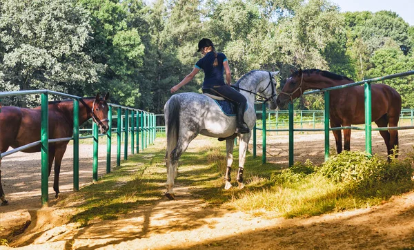 Jezdec žena v jezdecké škole. Žokej a koně — Stock fotografie