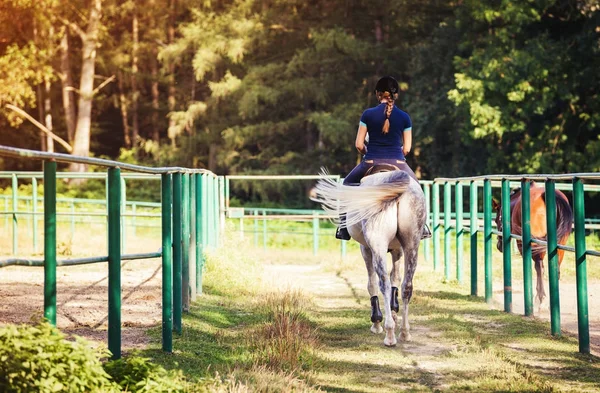 Mujer jinete en la escuela de equitación. Jockey y caballos — Foto de Stock