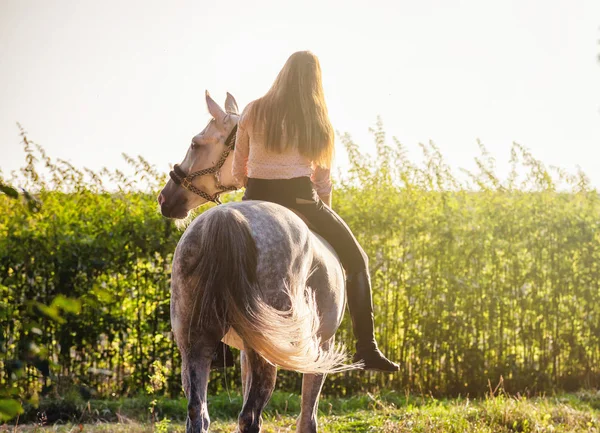 Woman riding a horse on farm at countryside — Stock Photo, Image