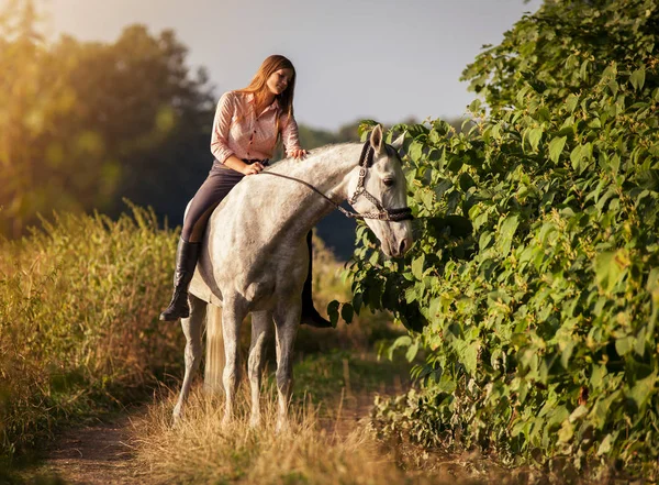 Mulher montando um cavalo na fazenda no campo — Fotografia de Stock