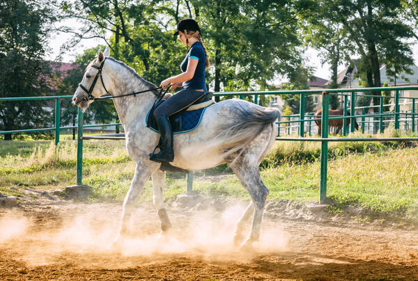Woman riding a horse in dust on paddock